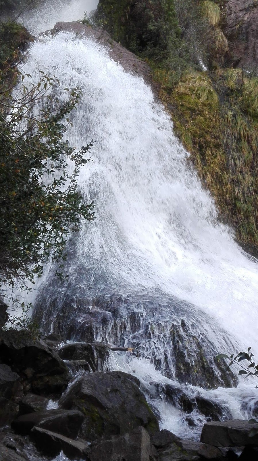 Cascada de montaña de aguas blancas entre la vegetación, cerca de Esquel