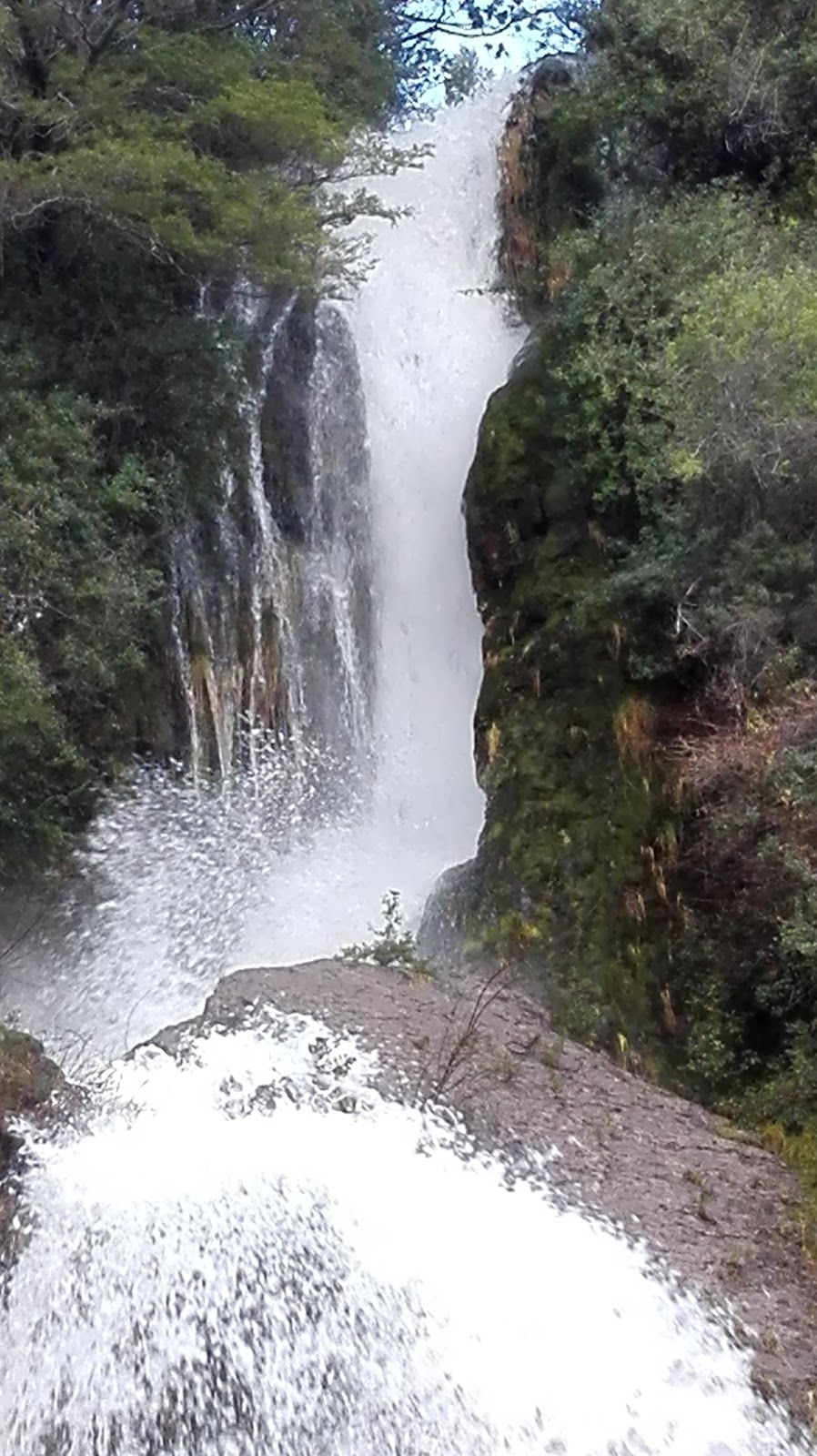 Salto de agua cayendo por una ladera boscosa cerca de Esquel