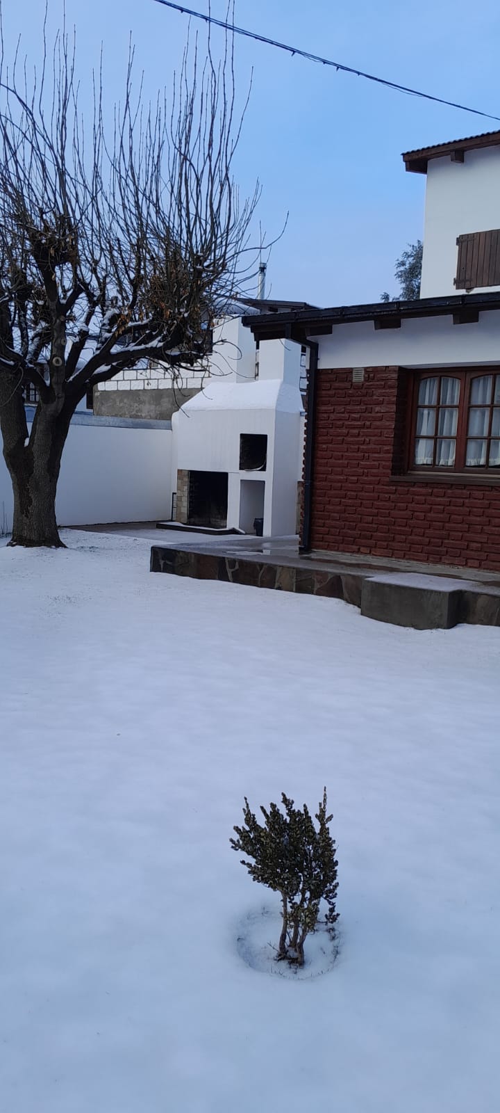 El parque del complejo nevado, con el árbol y la parrilla bajo la nieve